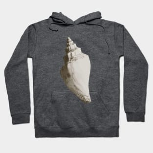 Spiral Sea Shell Hoodie